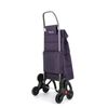 Carro Rolser Big Polar 6 Ruedas Sube Escaleras - More