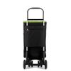 Carro Rolser Termo Fresh Mf  4.2 Tour - Negro/lima