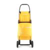 Carro Rolser I-max Termo Zen 2 Ruedas Plegable - Amarillo