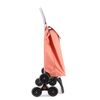 Carro Rolser Saquet Ln 6 Ruedas Sube Escaleras - Coral