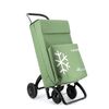 Carro Rolser Sbelta Termo Tweed 4.2 - Verde