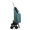 Carro Rolser Saquet Termo Ln 6 Ruedas Sube Escaleras - Verde