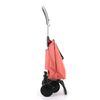 Carro Rolser Mini Bag Plus Mf 4 Ruedas Plegable - Coral