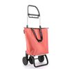 Carro Rolser Mini Bag Plus Mf 4 Ruedas Plegable - Coral