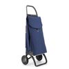 Carro Rolser Ecopep 2 Ruedas Plegable - Marino