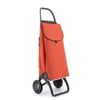 Carro Rolser Ecopep 2 Ruedas Plegable - Mandarina