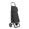 Carro Rolser Ecopep 2 Ruedas Plegable - Carbon