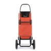 Carro Rolser Ecopep 2 Ruedas Grandes Plegable - Mandarina