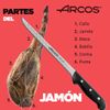 Arcos Jamonero Alveolos | Cuchillo Jamonero Arcos | Cuchillos Cocina Profesional | Cuchillo Jamonero Alveolos Arcos | Cuchillos Arcos Profesional| Acero Inoxidable Nitrum 240 Mm