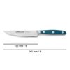 Cuchillo De Verduras Acero Inoxidable Arcos Brooklyn 130 Mm Color Azul