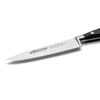 Cuchillo Chef Acero Inoxidable Arcos Riviera 150 Mm Color Negro