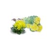 Rhodiola Bio El Granero Integral 60 Cápsulas