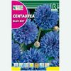 Semillas De Centaurea Blue Boy, Azul