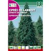 Semillas De Ciprés De Lambert Cipreses Macrocarpa