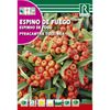 Semillas De Espino De Fuego Pyracantha Coccinea