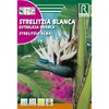 Semillas De Strelitzia Blanca