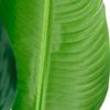 Planta Decorativa Verde Pvc 150 Cm Ave Del Paraíso