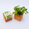 Cubo Con Imán De Albahaca