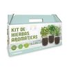 Kit Cultivo Interior De Aromáticas: Orégano, Cilantro Y Hierbabuena