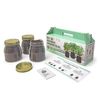 Kit Cultivo Interior De Aromáticas: Orégano, Cilantro Y Hierbabuena