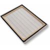 Filtro Hepa Aspirador Bosch Siemens Sphera 00578733