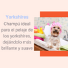 Champú Para Perros Al Aceite De Visón 250ml Ideal Para Yorkshires