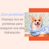 Champú Con Acondicionador Para Perros Uso Frecuente 250ml
