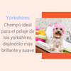 Champú Para Perros Al Aceite De Visón 5 Litros Ideal Para Yorkshires