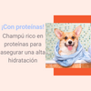 Champú Con Acondicionador Para Perros Uso Frecuente 500ml