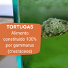 Comida Para Tortugas De Agua 15 Gr | Alimento De Gammarus