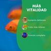 Comida Para Peces De Agua Caliente 120 Ml | Alimento Para Peces Tropicales