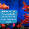 Comida Para Peces De Agua Fría 120 Ml | Alimento Para Goldfish Y Kois Jóvenes