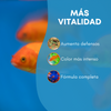 Comida Para Peces De Agua Fría 120 Ml | Alimento Para Goldfish Y Kois Jóvenes