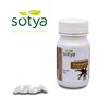 Harpagofito 100 Comprimidos 500 Mg Sotya