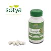 Garcinia Cambogia 90 Cápsulas De 500 Mg Sotya