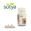 Equinácea 100 Comprimidos 500 Mg Sotya