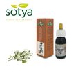 Extracto De Espino Blanco 50 Ml Sotya