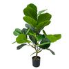 Planta Decorativa Alexandra House Living Plástico Ficus 90 Cm