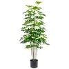 Planta Decorativa Alexandra House Living Plástico Schefflera 125 Cm