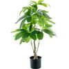 Planta Decorativa Alexandra House Living Plástico Pachira Aquatica 90 Cm