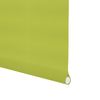Estor Enrollable Opaco Térmico Verde Manzana 105 X 190cm