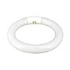 Tubo Fluorescente Circular T9 G10q 22w 1300lm 6400k 7hsevenon