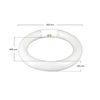 Tubo Fluorescente Circular T9 G10q 22w 1300lm 6400k 7hsevenon