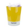 Balvi Papelera Pantone Color Amarillo Cubo De Reciclaje Para La Oficina Y El Hogar Producto De Papelería De Diseño Moderno Y Minimalista Lata 26x22x17,7 Cm