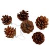 Set De 6 Piñas Navideñas Natural Ø6 Cm