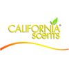 Pack De 4 - California Car Scents - Ambientador De Coche Con Fragancia. Olor Y Esencias A Monterey Vanilla. Aroma A Vainilla (minidifusores. 2uds)