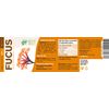 Fucus 100 Comprimidos 500 Mg Ghf