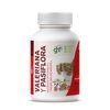 Valeriana Y Pasiflora 90 Cápsulas 450 Mg Ghf