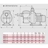 Espa Bomba De Filtración 18m3/h Trifásica - Silver 18t