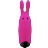 Adrien Lastic Pocket Vibe Morado